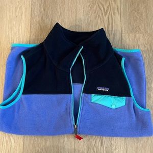 Perfect Condition Patagonia Synchilla Fleece Vest